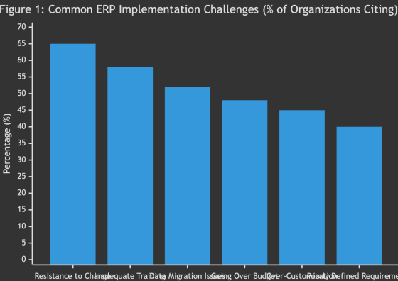 ERP implementation process